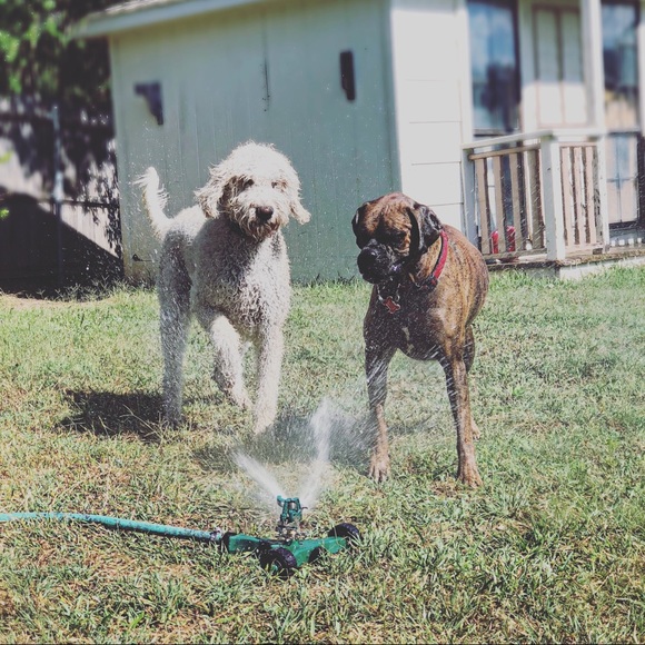 Welcome To theladychic Closet - Picture 6 of 8